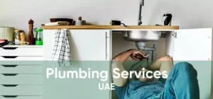 Best Plumbing Company in Dubai